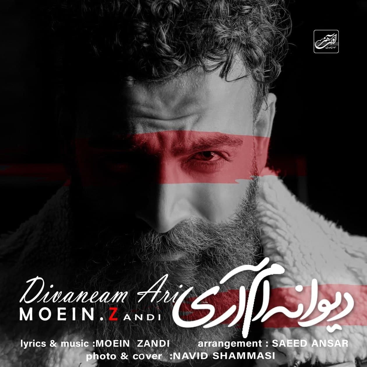دانلود آهنگ دیوانه ام آری معین زد